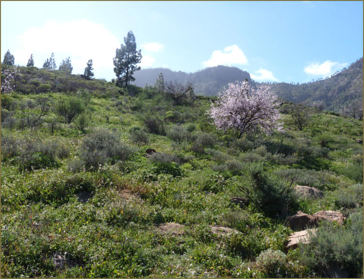 Paisaje del entorno de la Hoya de Tunte