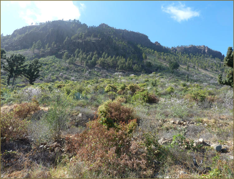Paisaje del entorno de la Hoya de Tunte