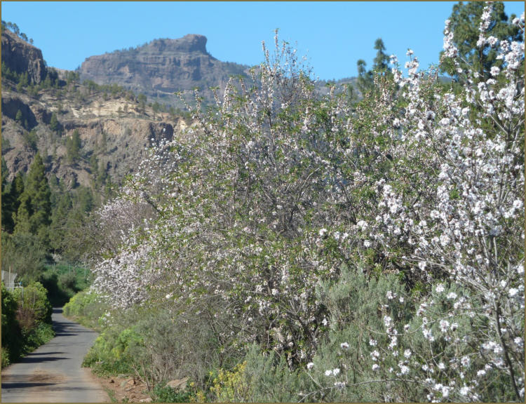 Paisaje del entorno de la Hoya de Tunte