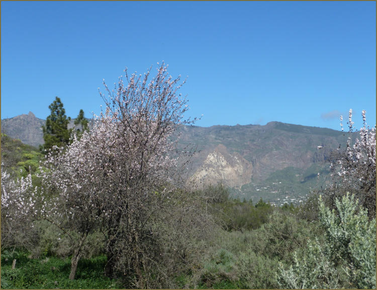 Paisaje del entorno de la Hoya de Tunte