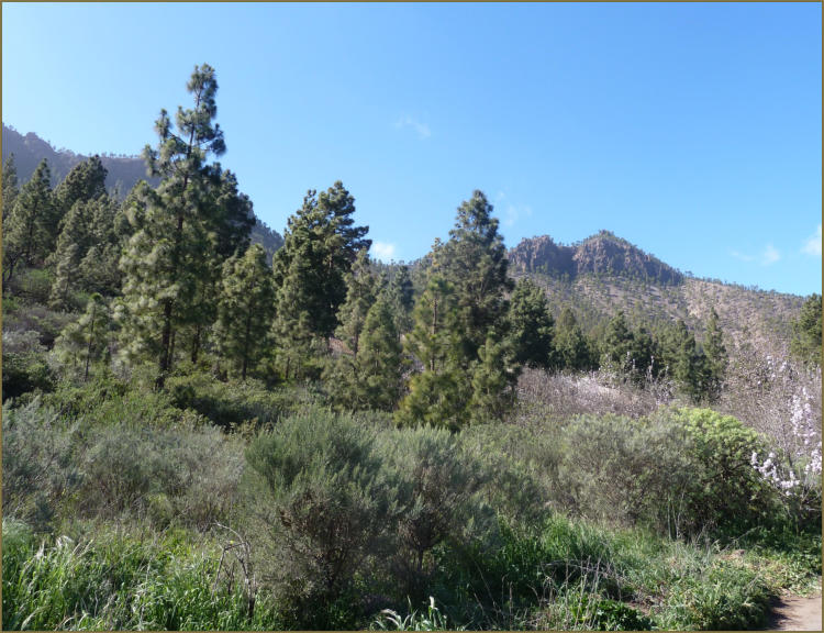 Paisaje del entorno de la Hoya de Tunte