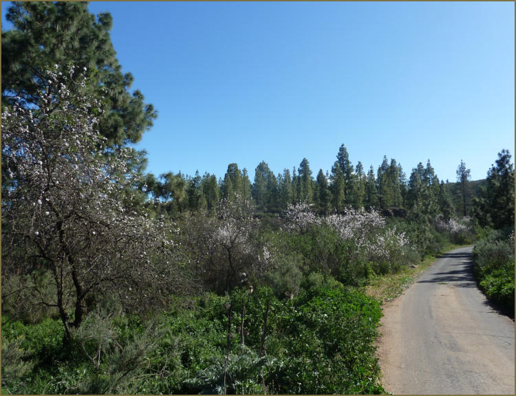 Paisaje del entorno de la Hoya de Tunte