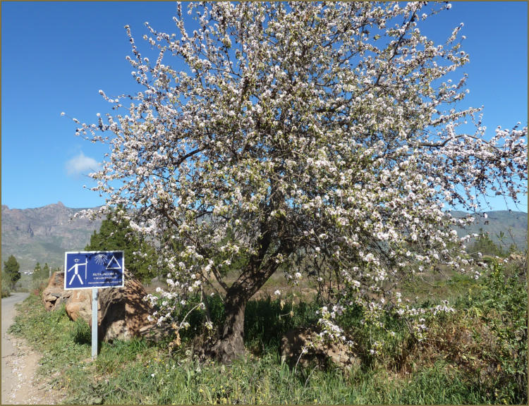 Paisaje del entorno de la Hoya de Tunte