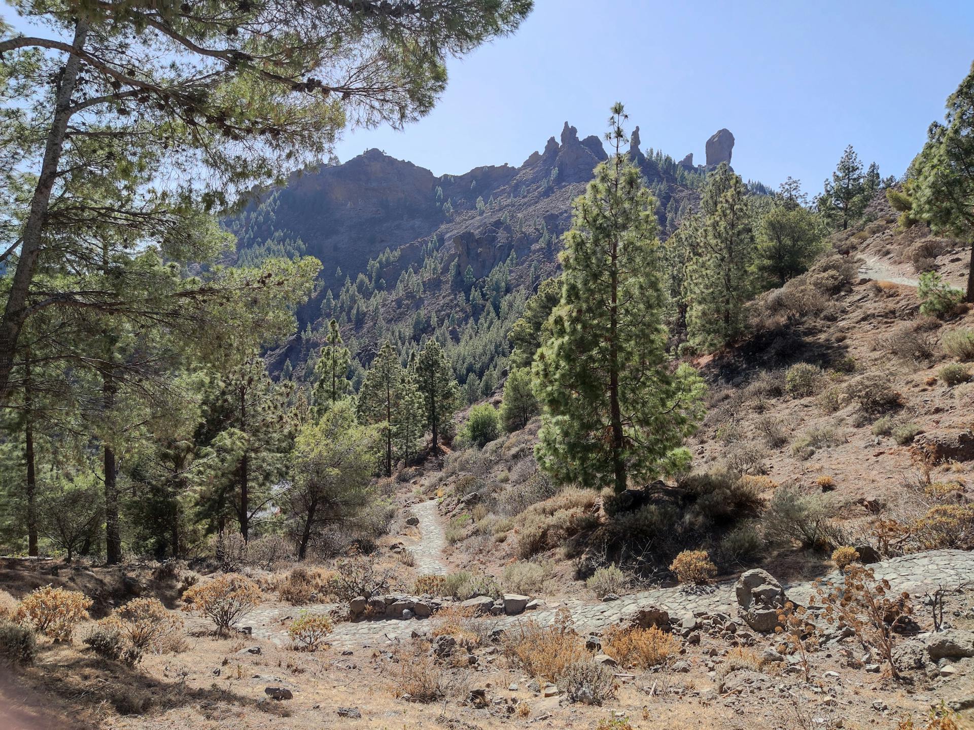 Senderismo y trekking