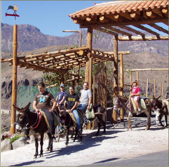 Burro Safari
